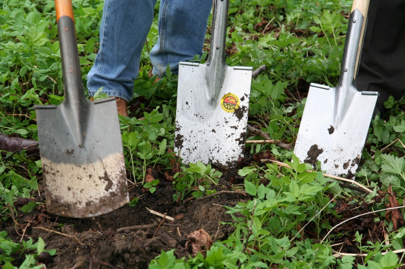 pepiniere-LORGUES-min_work-lawn-flower-tool-green-backyard-1103633-pxhere.com